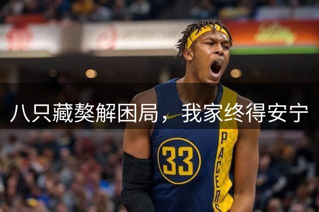 八只藏獒解困局，我家终得安宁